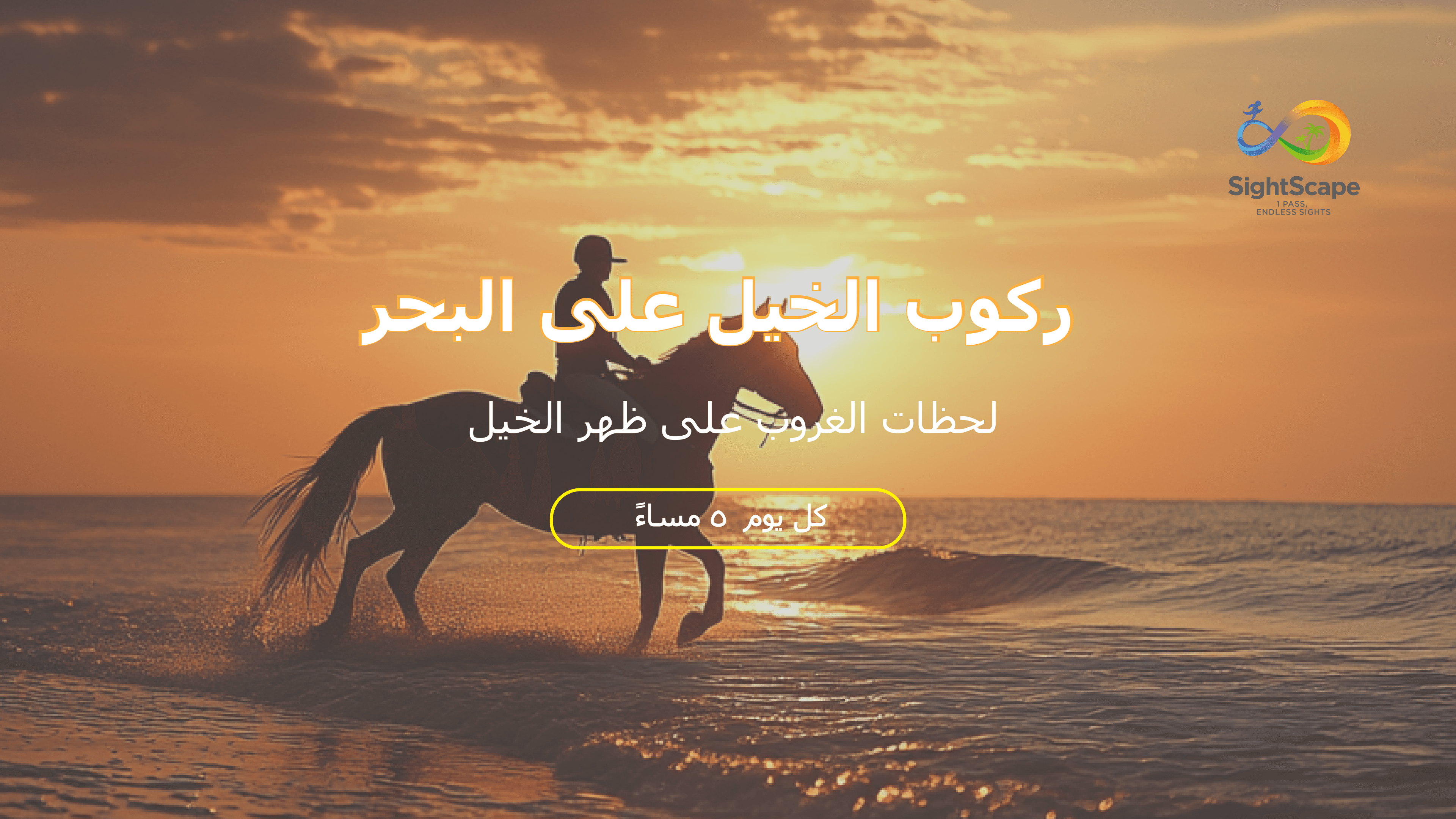 جولة خيل على شاطئ البحر الأحمر